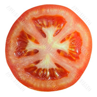 Tomato slice