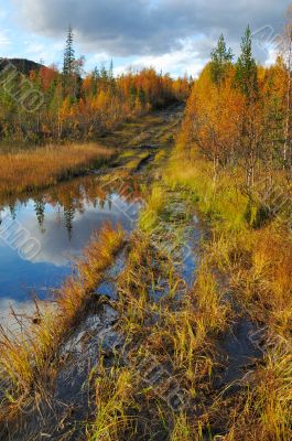 Ford through the small river