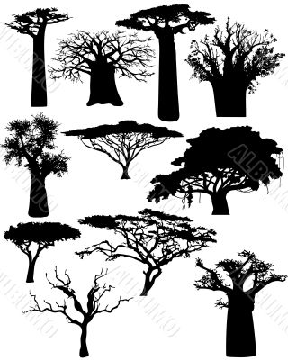 various African trees and bushes - vector various African trees and bushes - vector