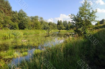 Overgrown River in Central Russia