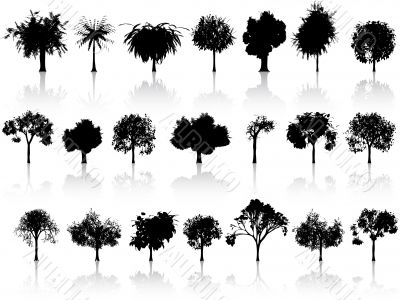 set of trees