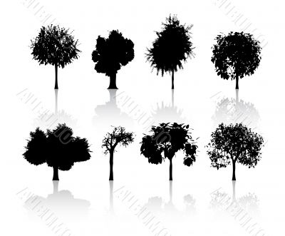 set of trees