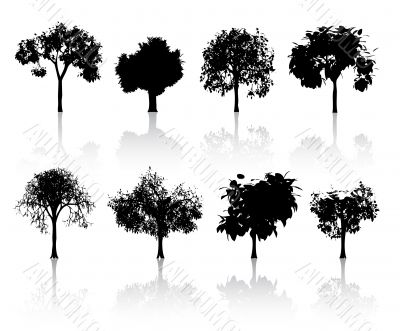 set of trees