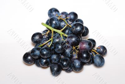 blue grapes from above