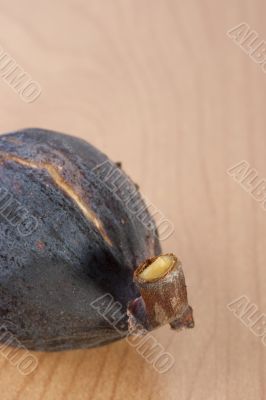 Ripe fruits of a fig