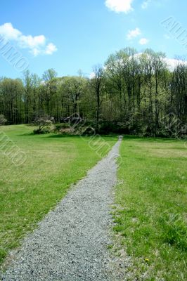 Path through a green field