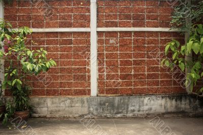 Wall with plants