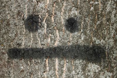 Bark of tree with painted smile