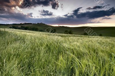 Sunset in Corsanello - Tuscany Sunset in Corsanello - Tuscany