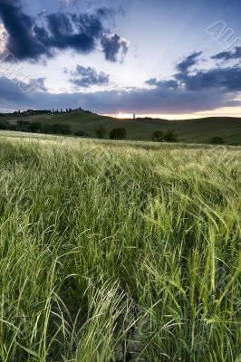Sunset in Corsanello - Tuscany Sunset in Corsanello - Tuscany