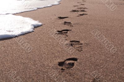 footprints on the beach	