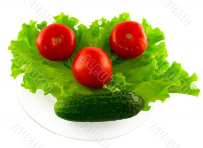 The vegetables lying on the transparent plate