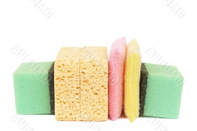 Variety of cleaning sponges