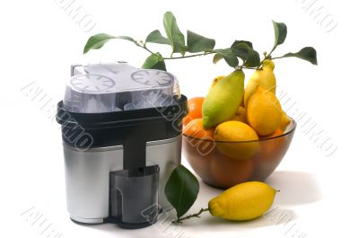 machine for pressing citrus