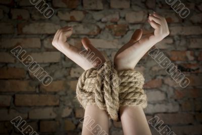 Hands tied up with rope