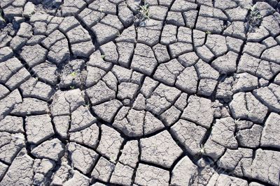 soil cracked soil cracked