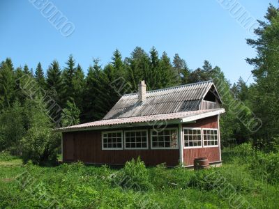 Cottage in the country. Summer. Karelian isthmus