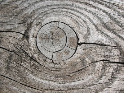  Texture of old boards. Gray background.