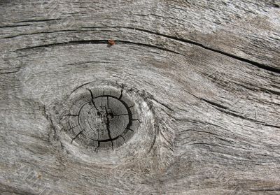  Texture of old boards. Gray background.