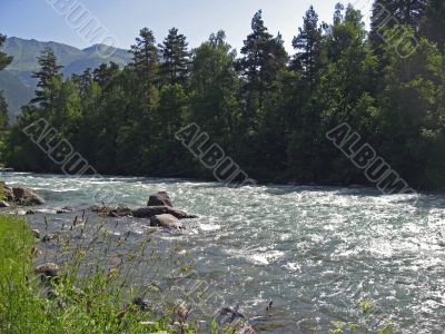 River flow away through the forest and meadow