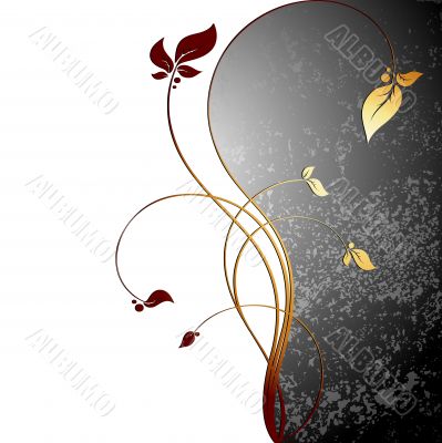 floral frame floral frame