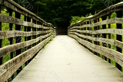 Wooden bridge through the forest