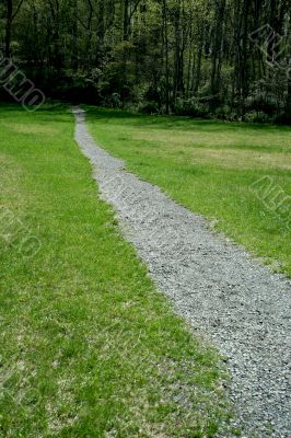 Path through a green field