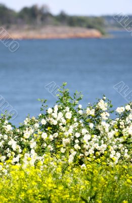 View of Finland Gulf 