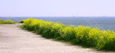 Panorama View Of Finland Gulf 