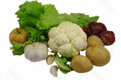 vegetable group