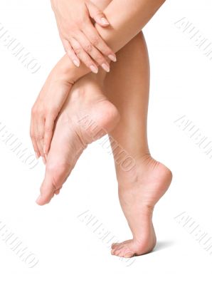 Sexy and smooth woman legs