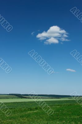 Rural summer landscape