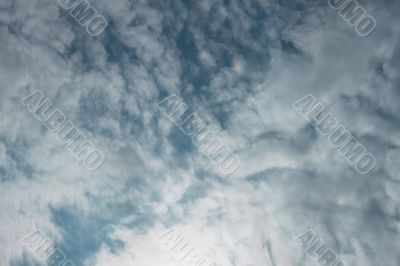 Cumulus on the blue sky