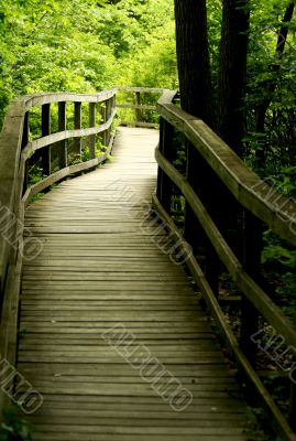 Wooden bridge through the forest