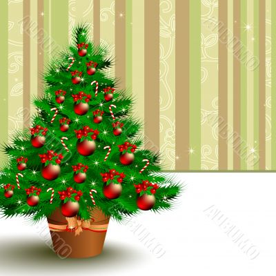 christmas fir christmas fir