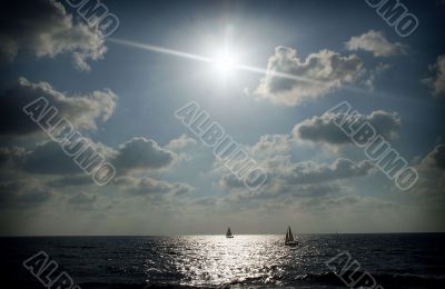 Polar star of the day Polar star of the day