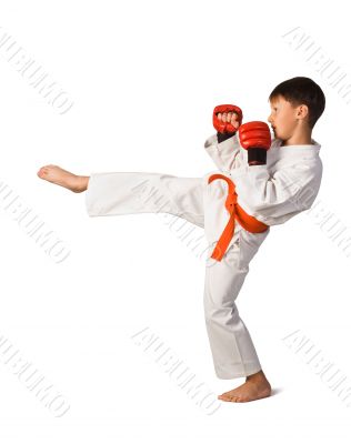 Aikido boy.Martial Arts Aikido boy.Martial Arts