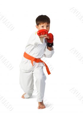Aikido boy.Martial Arts
