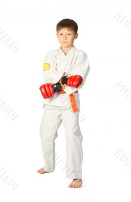 Aikido boy.Martial Arts