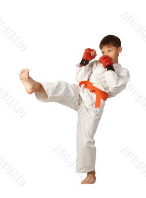 Aikido boy.Martial Arts