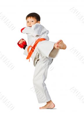 Aikido boy.Martial Arts