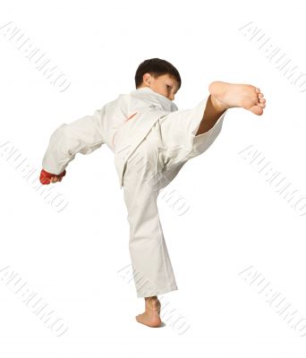 Aikido boy.Martial Arts