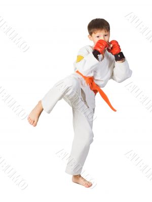 Aikido boy.Martial Arts