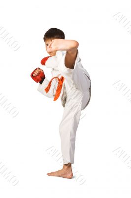 Aikido boy.Martial Arts