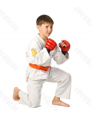 Aikido boy.Martial Arts