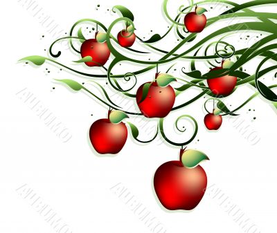 background with apples background with apples