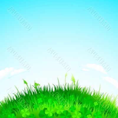 summer background summer background