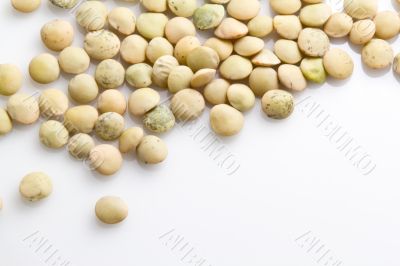 whole lentil seeds