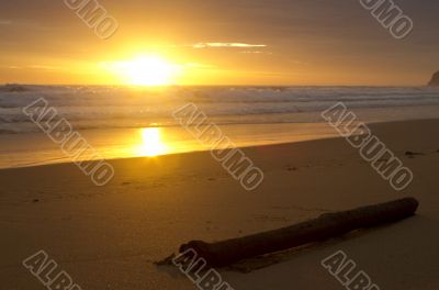 Driftwood sunrise