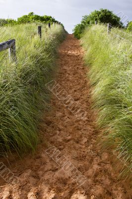 Pathway to the beach